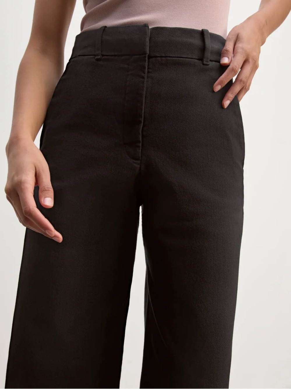 Retail $277 Everlane The Pheobe Trouser in Washed Black
